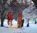 Новогодний парк им. Гагарина