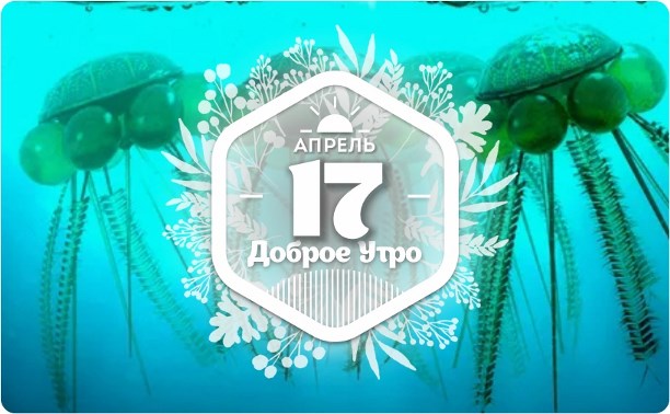 Яшма "мариам" в доброутреннем с конкурсом)