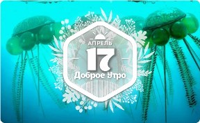 Яшма "мариам" в доброутреннем с конкурсом)