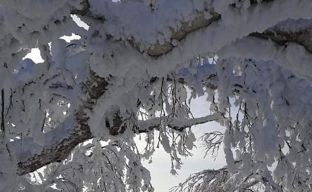 На Горном Воздухе.