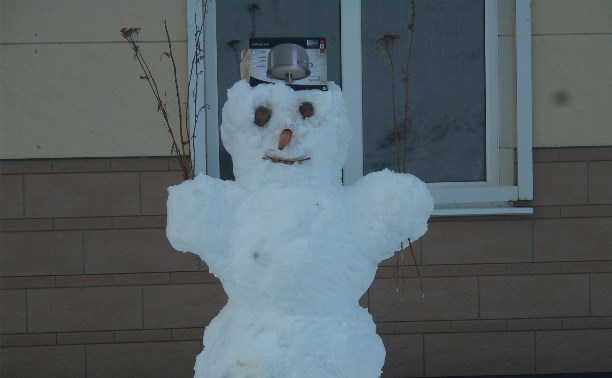 Жители города Холмска сделали снеговиков
