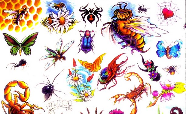 Стихи про насекомых, жуков, пауков