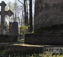 Афера на 16 млн $ и селфи на кладбище. Обзор околосахалинского интернета