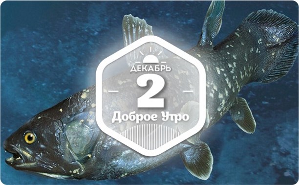 Древние рыбы в доброутреннем с конкурсом)