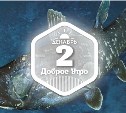 Древние рыбы в доброутреннем с конкурсом)