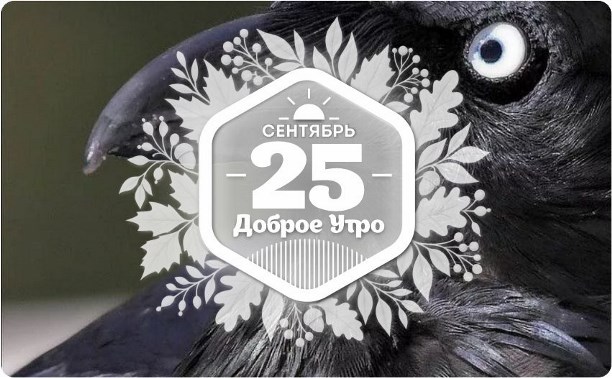 Птичье зрение в доброутреннем с конкурсом)