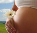 Загадка: Несчастная беременная или стерва-вымогательница?