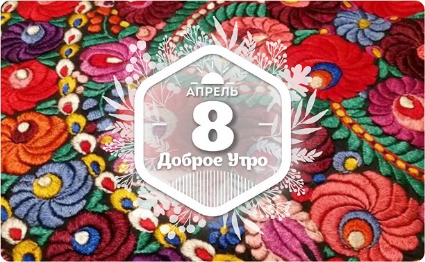 Розы матьо в доброутреннем с конкурсом)