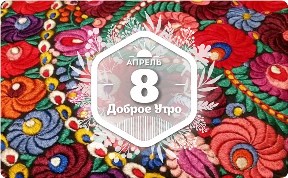 Розы матьо в доброутреннем с конкурсом)