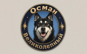 Ангел из снега и метели пес Осман...