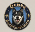 Ангел из снега и метели пес Осман...