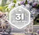 Работы Ольги Воробьёвой в доброутреннем с конкурсом)