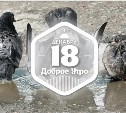 Самая высокая температура в доброутреннем с конкурсом)