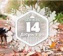 Карманные питомцы в доброутреннем с конкурсом)