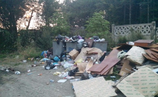 Жители бывшего военного городка в г.Долинске утопают в мусоре