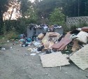 Жители бывшего военного городка в г.Долинске утопают в мусоре