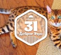 ДорогущееДомашнеЛюбимое доброутреннее с конкурсом)