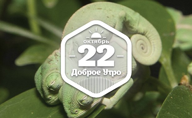 Хамелеончики в доброутреннем с конкурсом)
