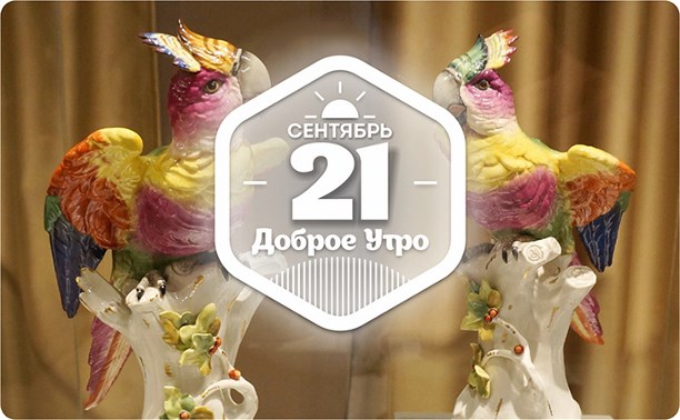 Красочный мир фарфоровых попугаев в доброутреннем с конкурсом)