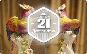 Красочный мир фарфоровых попугаев в доброутреннем с конкурсом)