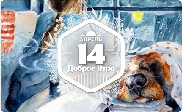 Человек собаке друг в доброутреннем с конкурсом)