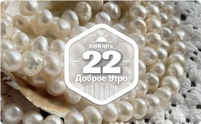 Жемчуг Касуми в доброутреннем с конкурсом)