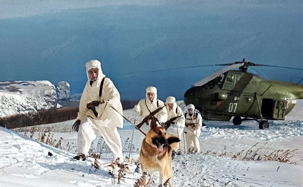 На плечах у нас зеленые погоны...