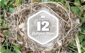 Гнезда в доброутреннем с конкурсом)