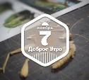 ДеревянноНасекомое доброутреннее с конкурсом)