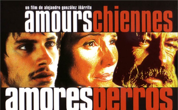 Amores perros или "Любовь к собакам"