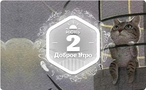 Кошачий позитив в доброутреннем с конкурсом)