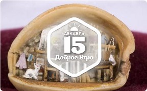 Микромир в грецких орехах в доброутреннем с конкурсом)