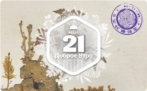 Осибана в доброутреннем с конкурсом)