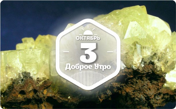 Адамит в доброутреннем с конкурсом)
