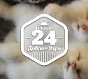 МилоРукотворноЗверушковое доброутреннее с конкурсом)