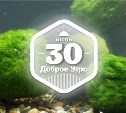 Мосс-шары в доброутреннем с конкурсом)