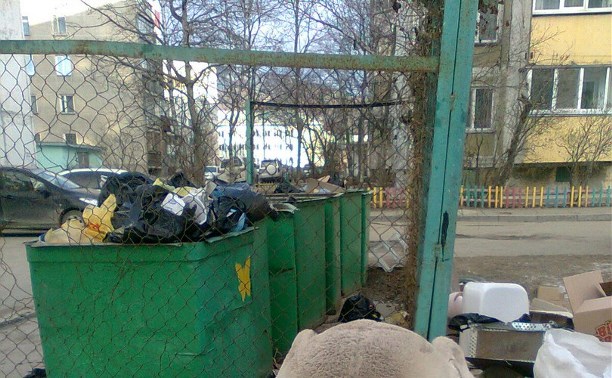 Мусорное фиаско сахалинского правительства (размышления о мусоре)