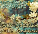 Выходные в Южно-Сахалинске: 15-17 апреля