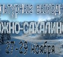 Выходные в Южно-Сахалинске: 27 - 29 ноября