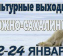 Выходные в Южно-Сахалинске: 22 - 24 января