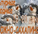 Выходные в Южно-Сахалинске: 18 - 20 декабря