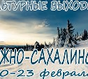 Выходные в Южно-Сахалинске: 20-23 февраля