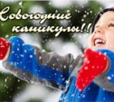 Новогодние каникулы - 2015 в Южно-Сахалинске