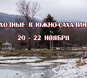 Выходные в Южно-Сахалинске: 20 - 22 ноября