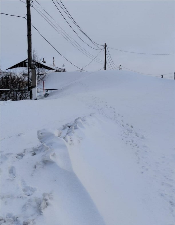 Замело дома по крыши