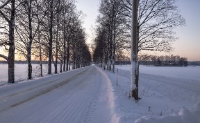 Общество