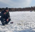 "Убирайте за собой": сахалинским рыбакам напомнили о штрафах за оставленную на льду навагу