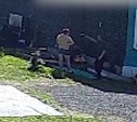 Появилось видео, как пенсионер стреляет в голову соседу в Пятиречье 
