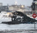 Штормовой ветер снёс новогоднюю ёлку на Кунашире 