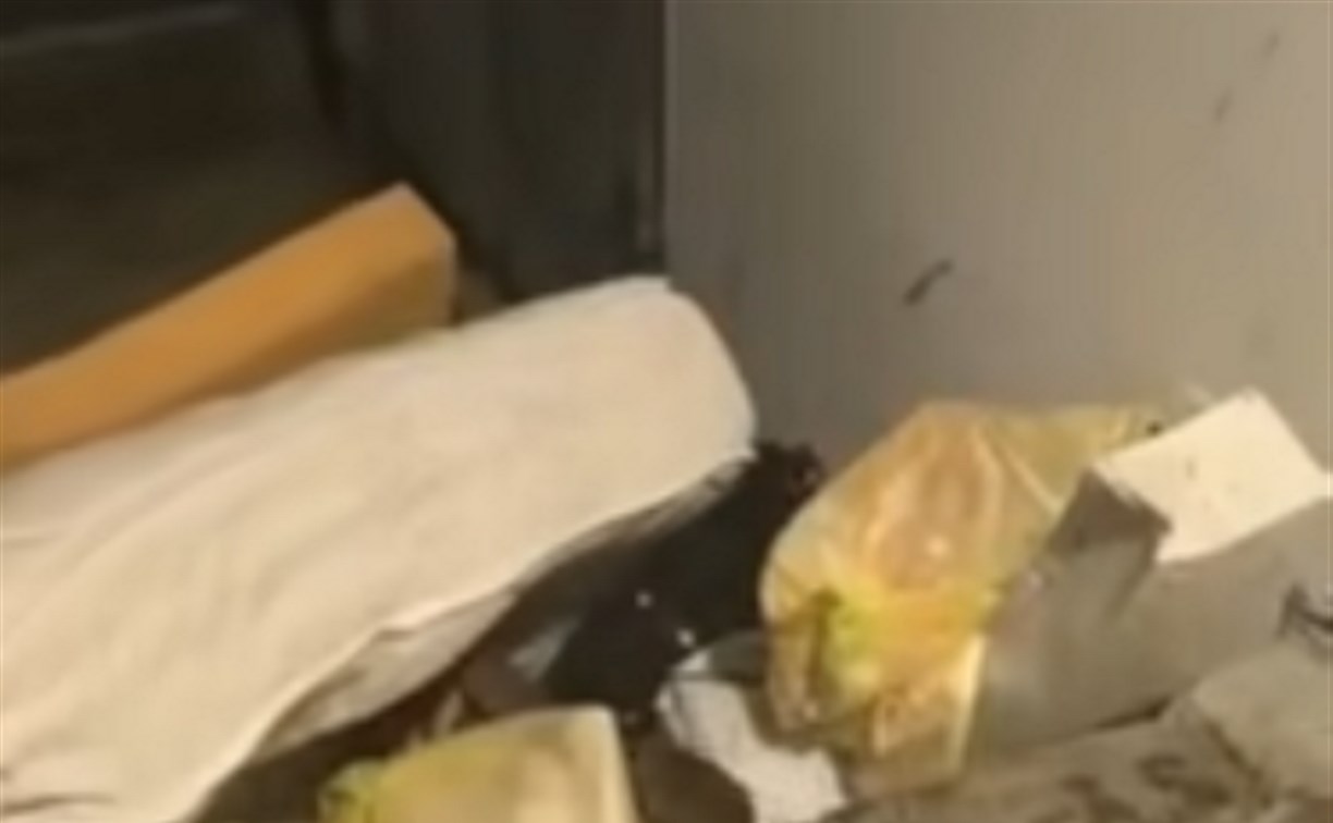Жители Южно-Сахалинска пожаловались на нашествие крыс во дворе в центре города